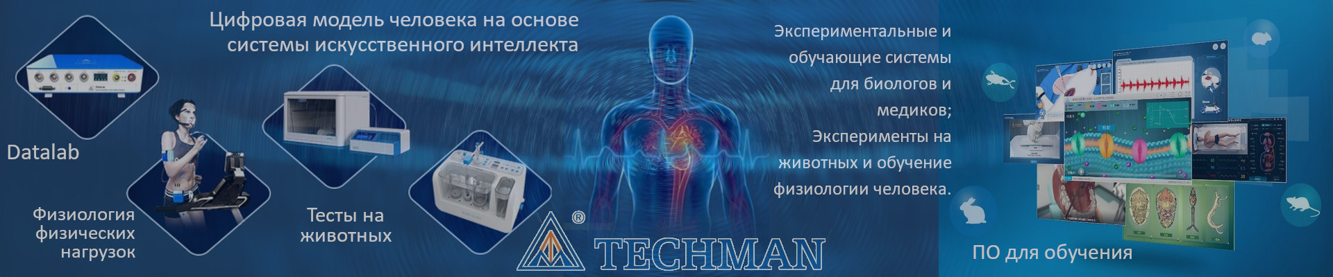   Techman      ,         