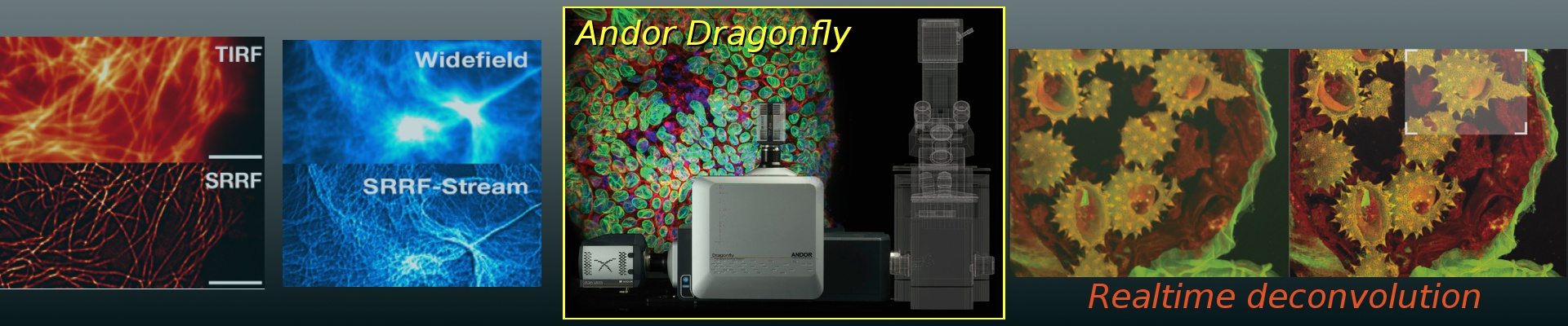Купить высокоскоростную систему конфокальной микроскопии Andor Dragonfly