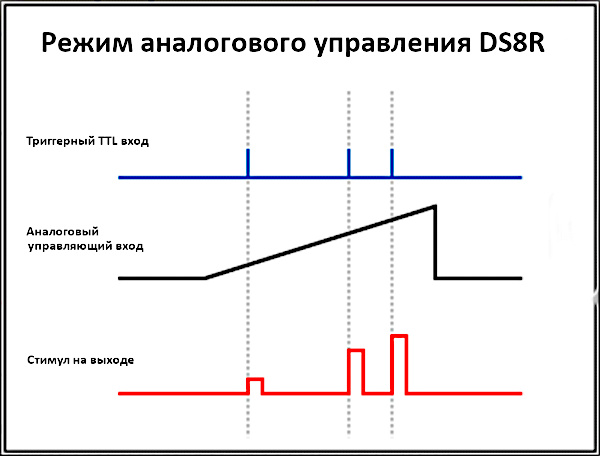    DS8R