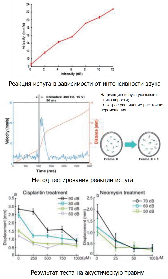       - GBR-FSR