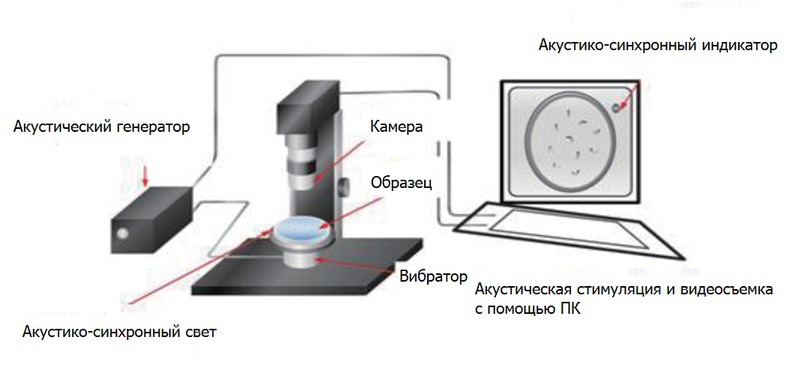      - (FSR)