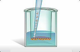      Transwell