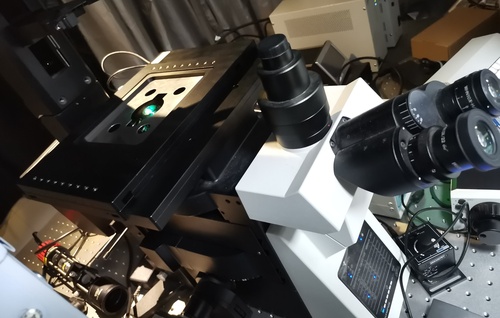 Пример использования моторизованного столика для микроскопа Mshot XY PIEZO