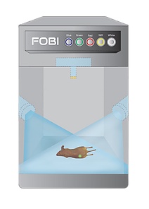  FOBI