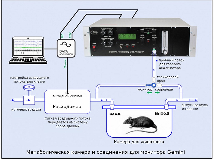 Метаболическая камера с подключенным монитором Gemini O2 и CO2