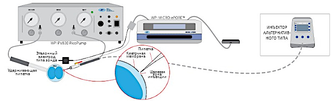 WPI MICRO-ePORE™