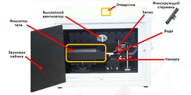 Поведенческая камера ольфактометра RWD