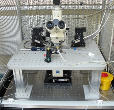 Фиксированный столик для микроскопа на четырех подставках