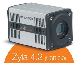 Zyla 4,2