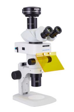 Стереофлуоресцентный микроскоп MZX81